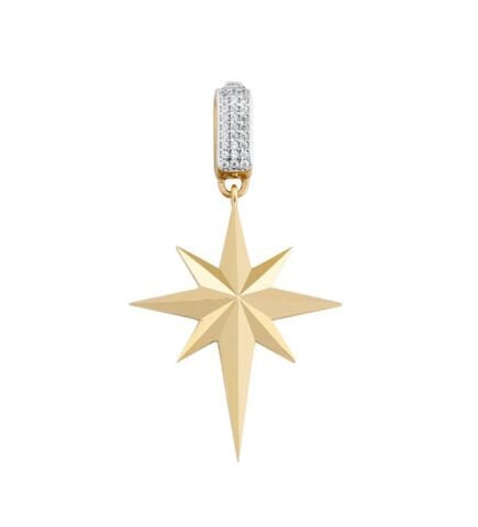 14 Ayar Altın Kuzey Yıldızı Kolye Ucu